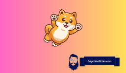 Shiba Inu (SHIB) Price Nears Crucial Resistance: What's Next for Investors?