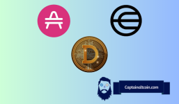 Top 3 Gainers: AMP, WLD, and DOGE - Each Comes with a Catch Investors Should Be Mindful Of