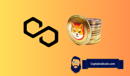 Polygon (MATIC) Price On the Verge of Bearish Reversal, Top Analyst Predicts Shiba Inu's (SHIB) Next Period of Volatility