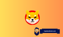 Shibarium Stats Raise Concern For Shiba Inu (SHIB) Holders