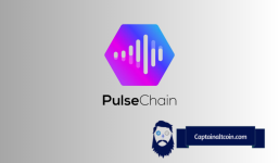 Richard Heart's Strategic Efforts to Rejuvenate Failed PulseChain Project