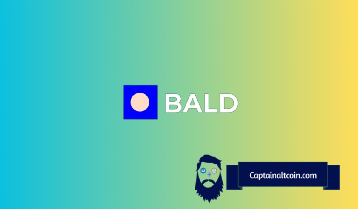 BALD Deployer Removes All Liquidity: Here's How Much They Made in 2 Days