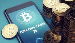 Bitcoin Cash Cools Off From Peaks, Thousands of Investors Participate in InQubeta Presale