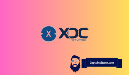 Here’s the XDC Network Price If USDC Adoption Finally Kicks In
