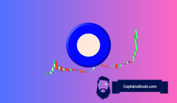 New Evidence Points to Alameda and FTX's Involvement in the Creation of Bald