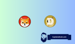 Shiba Inu and Dogecoin Correlation Revealed - Traders Must Know This