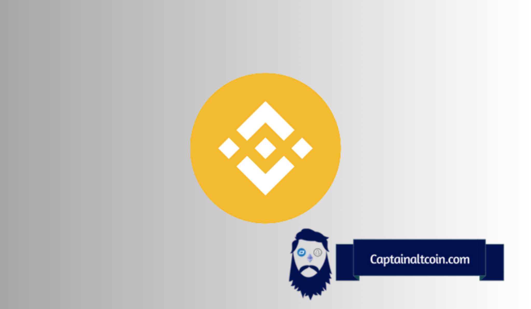 Expert Charts Potential 48 Binance Coin(BNB) Price Rally Here's the