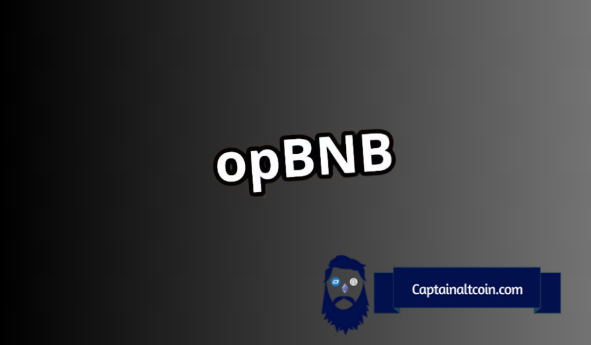 Is opBNB the Next Base? Bridging Activity Surges as Users Flock to the Platform