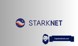 StarkNet's Highly Anticipated $STARK Token Airdrop: What You Need to Know