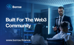 As Stellar (XLM) Prepares for Potential Slump: Borroe ($ROE) Presale Fuels Demand with Stellar Growth Projections