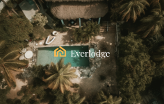 Top 3 Cryptocurrencies To Keep on Your Radar – ApeCoin, Dogecoin and Everlodge