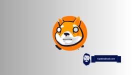 Meet SHIA – The Meme Token Taking Crypto Gaming by Storm