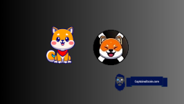 Doge and Shib Better Watch Their Backs! XShiba and BabyShib Are Coming for the Crown