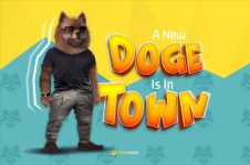 Eyeing Q3 2023 Jackpot: Dogecoin (DOGE), XDC Network (XDC), Pomerdoge (POMD)