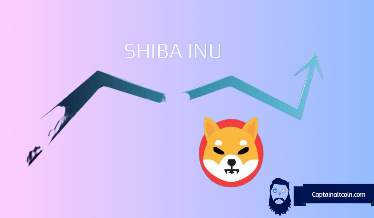 Time to Buy Shiba Inu (SHIB) is Now According to Top Analyst - Here's the Crucial Entry Point