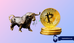 Analyst Highlights $31,500 as Bitcoin's Next Target, Unveils Key Resistance Levels