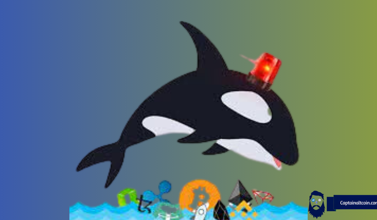 This Is How Crypto Whales Outsmart Retailers: Expert Unveils Crypto Market Manipulation Tactics You Need to Know