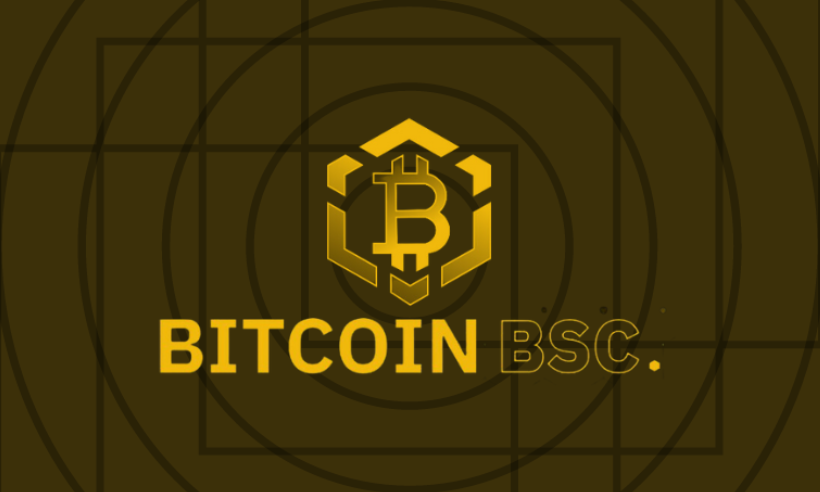 Bitcoin BSC and Wall Street Memes Presales Continue to Soar as Investors Seek Refuge Following FTX News