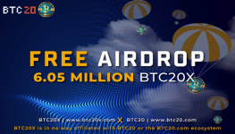 BTC20X: Leading the Charge for Sustainable Cryptocurrency Innovation