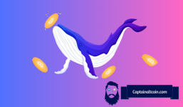 Long-Term Bitcoin Holders Continue Amassing 50,000 BTC Per Month - Analyst