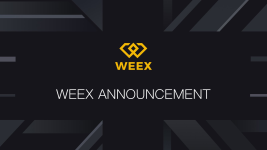 2023's Biggest Market Plunge: Kucoin, MEXC, WEEX Showed Minimal Slippage