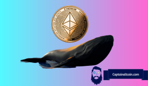 Fresh Whales Are Accumulating $ETH, $SHIB and This Meme Coin | Headlines | News | CoinMarketCap