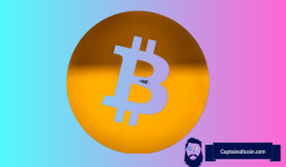 Bitcoin Has Bottomed Says Top Analyst: Here's Why BTC Won't Hit $12k