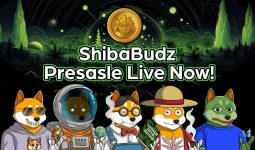 Shiba Budz (BUDZ) Makes Big Waves as Ripple (XRP) Holders Buy Into The Ground Breaking Presale
