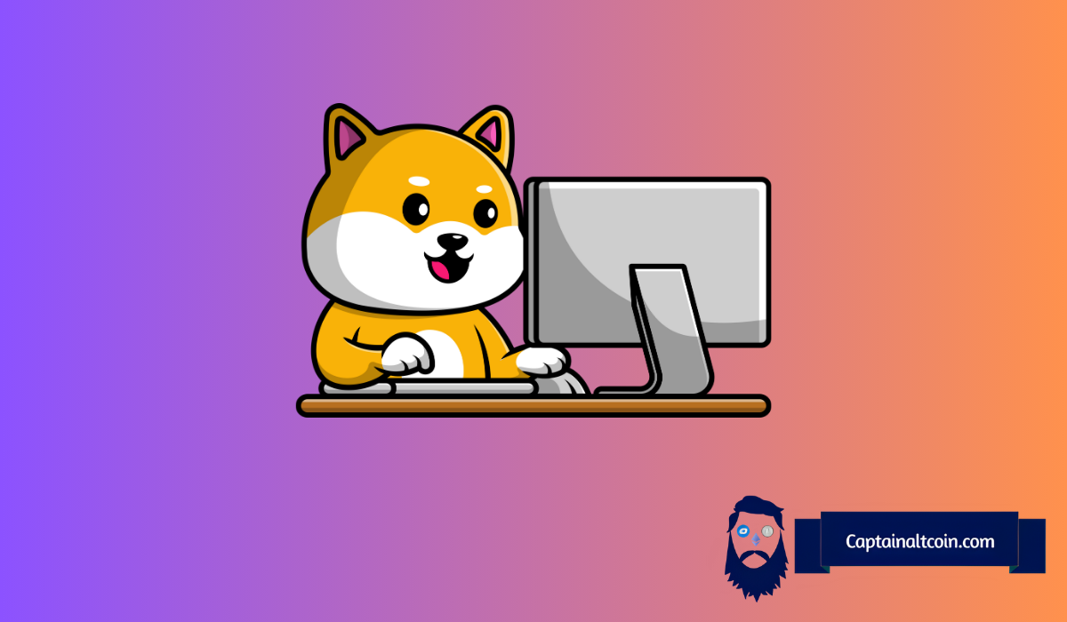 Why is Fake SHIBA Coin Pumping 200%? Stay Away From This Scam Meme Coin
