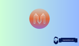 Why is MINA Coin Pumping? Reasons Behind 50% Explosion