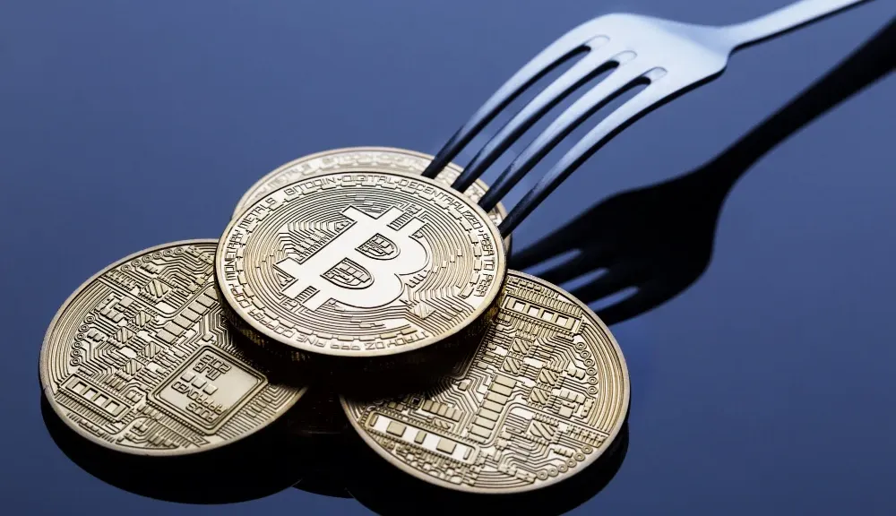 Bitcoin Forks To Repeat BTC Price Rally: BTCS, BCH, And BSV