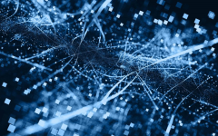 November Begins with a Bitcoin Cash (BCH) Price Drop, While VC Spectra Experiences a Surge: Main Insights