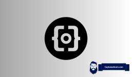 Why is ORDI Price Up?