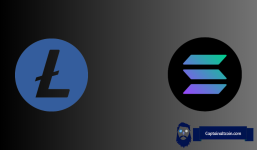 Litecoin Whale Activity Could Foreshadow Next Bull Run While Solana Flashes Sell Signal