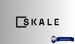 Skale Network Triples Its Market Cap Since Mid-August, Analyst Says SKL Could Push Up Further Until This Happens