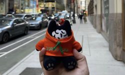 Dora Ventures Celebrates First Closing of its Appchain Thesis Fund