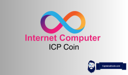 Analyst Warns Internet Computer (ICP) Price Is About to Drop - But This 2030 Forecast Says $1,000 Is Coming