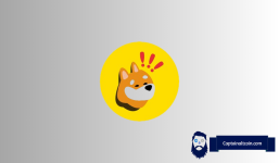 Why is BONK Price Up Today?