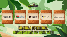 This Meme Coin is Turning Charitable Donations on Its Head With Passive Income and Notable Contributions - Final Days to Invest