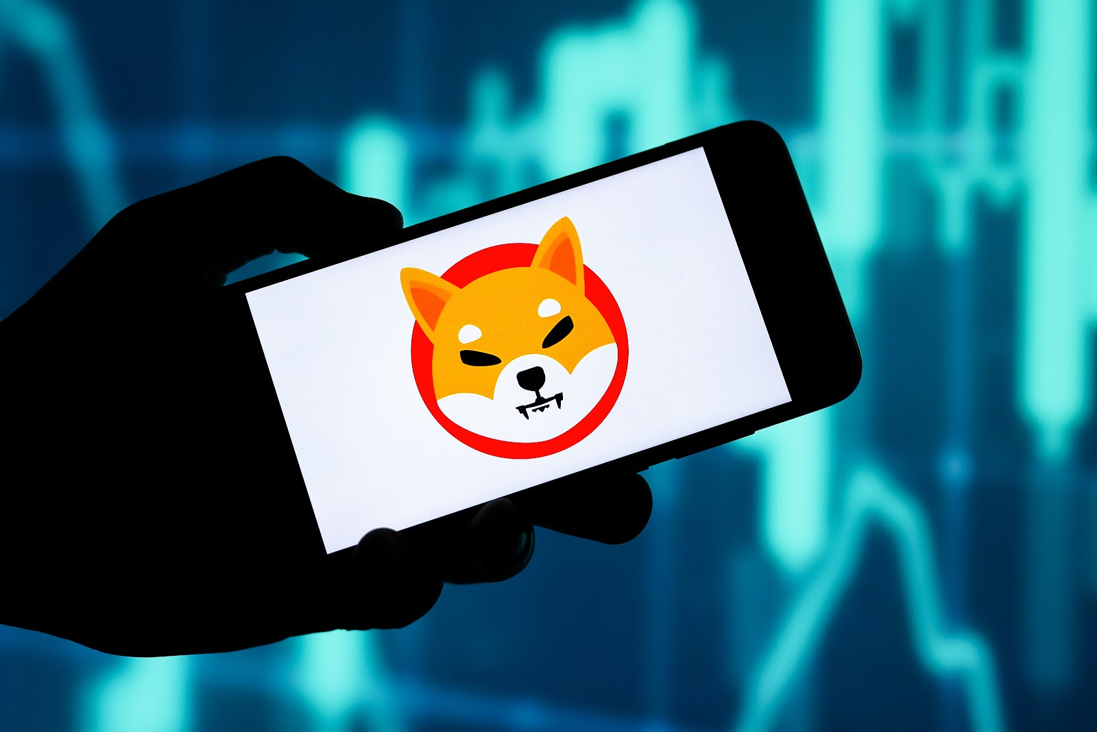 Best Cryptos to Buy Now? Shiba Inu, Pullix And Polygon According to Market Trends