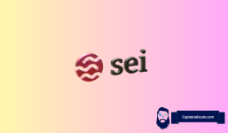 Analyst Says SEI Price Could Rally Soon – Here Are the Key Levels to Watch