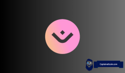 How High Can Mantra (OM) Price Go in Q2 of 2025?