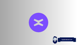 Why is xMoney (UTK) Price Up?