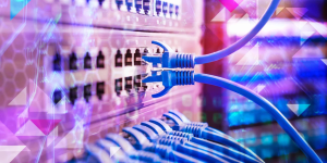 Cryptocurrency Market Analysis: VC Spectra, Bonk, and Stacks Race to Dominate | Headlines | News | CoinMarketCap