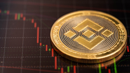 WIF Set for Rally Post Binance Listing Buzz While AI Altcoin Presale Readies to Break $4M