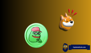 Bonk and Pepe Meme Coins See Strong Gains in the Wake of PEPE’s Major Exchange Listing | Headlines | News | CoinMarketCap