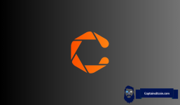 Why Is cheqd CHEQ Price Up By 24%?