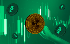 Ripple (XRP) worrying future makes holders diversify into DeeStream (DST) presale after Litecoin (LTC) fund buys in big