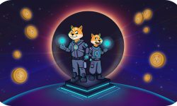 Shiba Inu Implements State-of-the-Art Encryption to Enhance Privacy & Security for Users and Developers