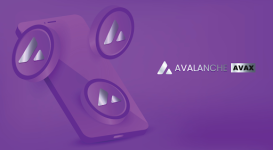 Final stages of Pushd (PUSHD) presale causes spike in Avalanche (AVAX) & Binance Coin (BNB) holders buy-in scramble